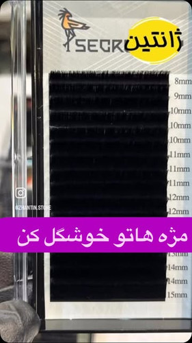 مژه پالتی